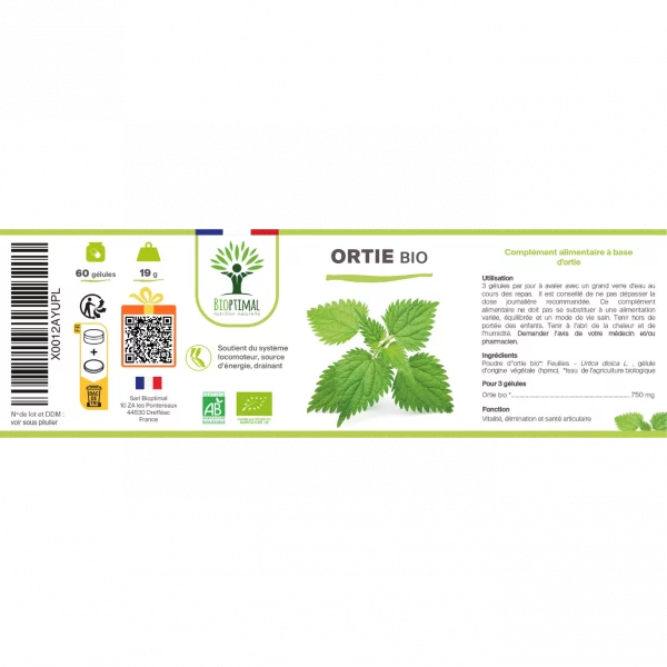 ortie11