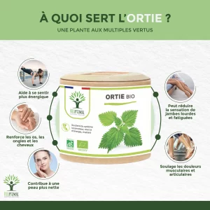 ortie2
