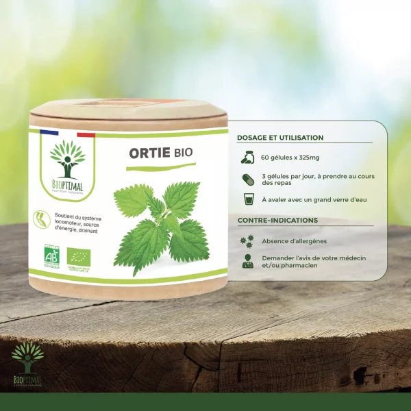 ortie3