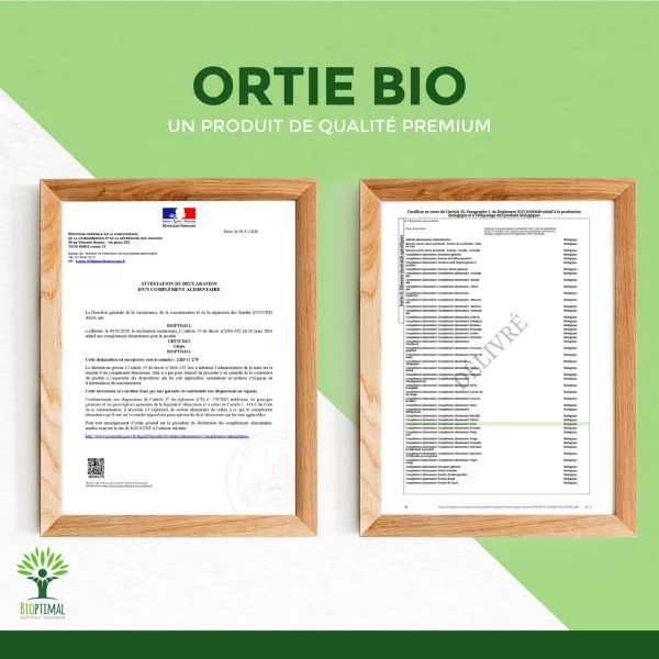 ortie8