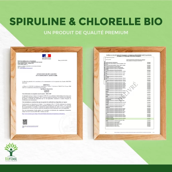 spiruline bio 7