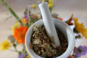 🌱 Pourquoi faire une consultation de naturopathie ?