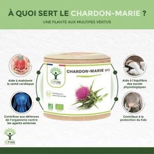 chardon marie1