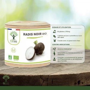 radis noir